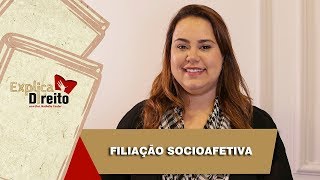 Explica Direito Filiação Socioafetiva  2019 [upl. by Anetsirk743]