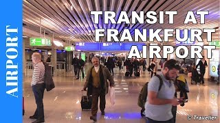 TRANSIT WALK AT FRANKFURT Airport FRA Terminal 1  Connection Flight Transfer Arriving amp Departing [upl. by Dewey]